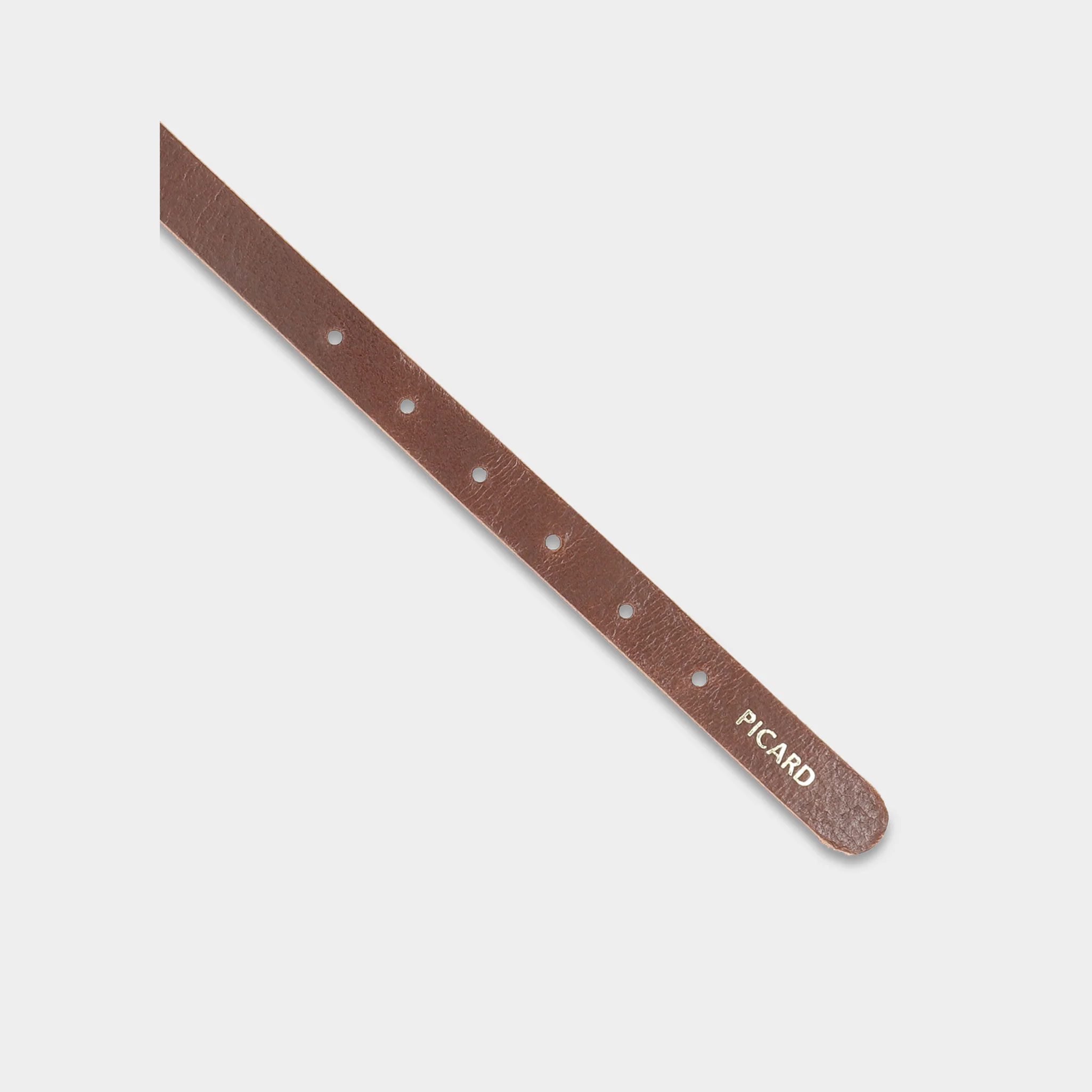 Hundehalsband Dog Collar Susi Größe M R126 - Image 3